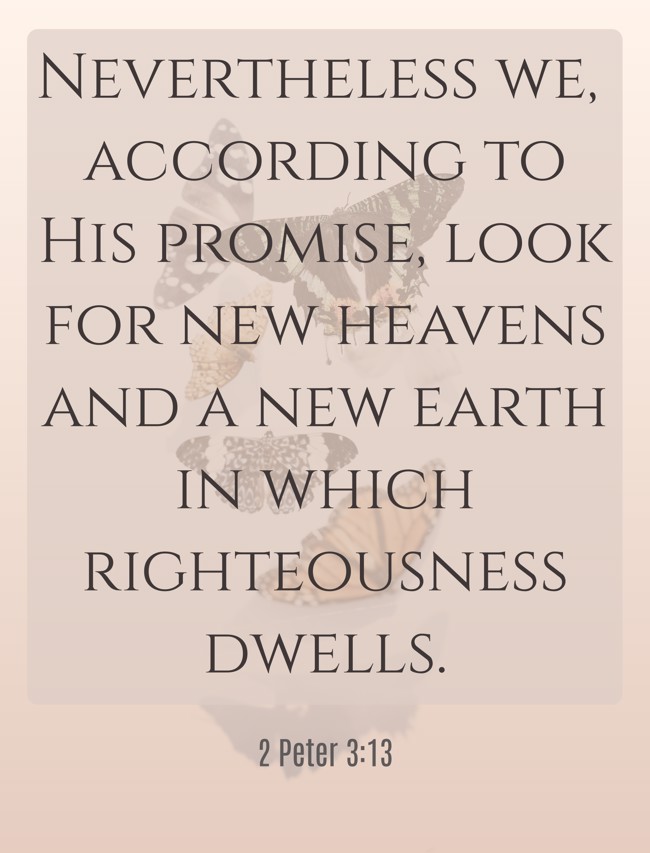  Nevertheless we, according to His promise, look for new heavens and a new earth in which righteousness dwells.   - 2 Peter 3:13 