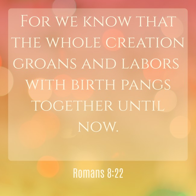  For we know that the whole creation groans and labors with birth pangs together until now.   - Romans 8:22 