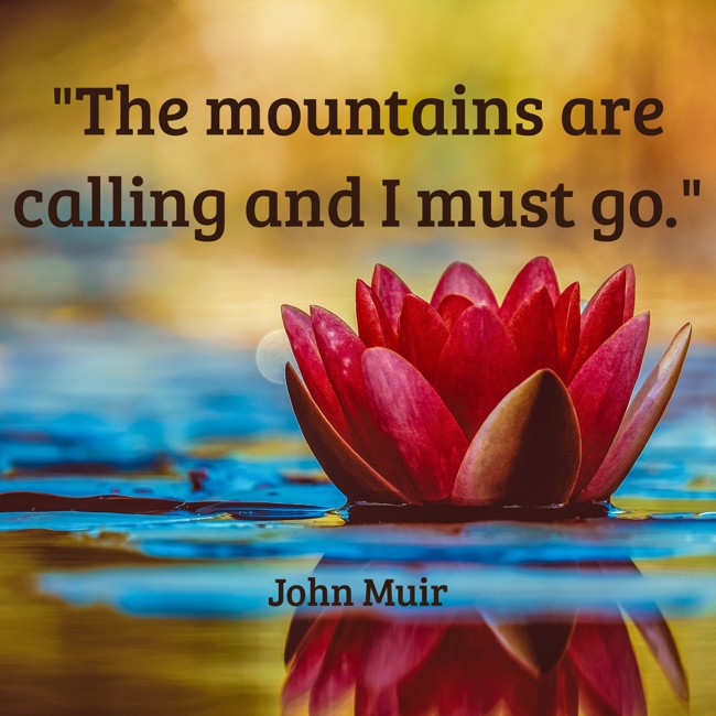  The mountains are calling and I must go.   - John Muir 