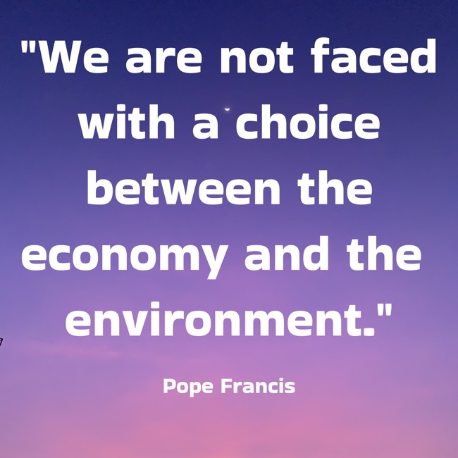  We are not faced with a choice between the economy and the environment. - Pope Francis 