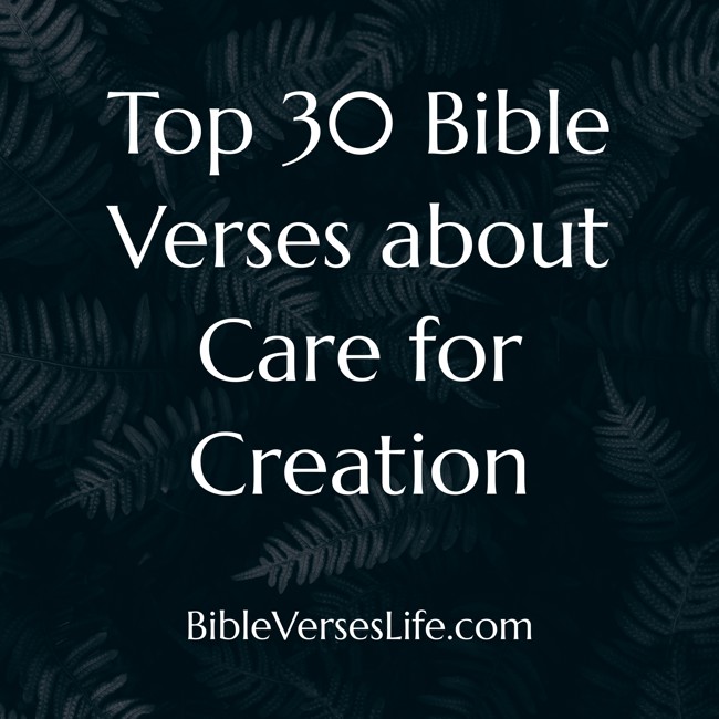 Top 30 Bible Verses about Care for Creation