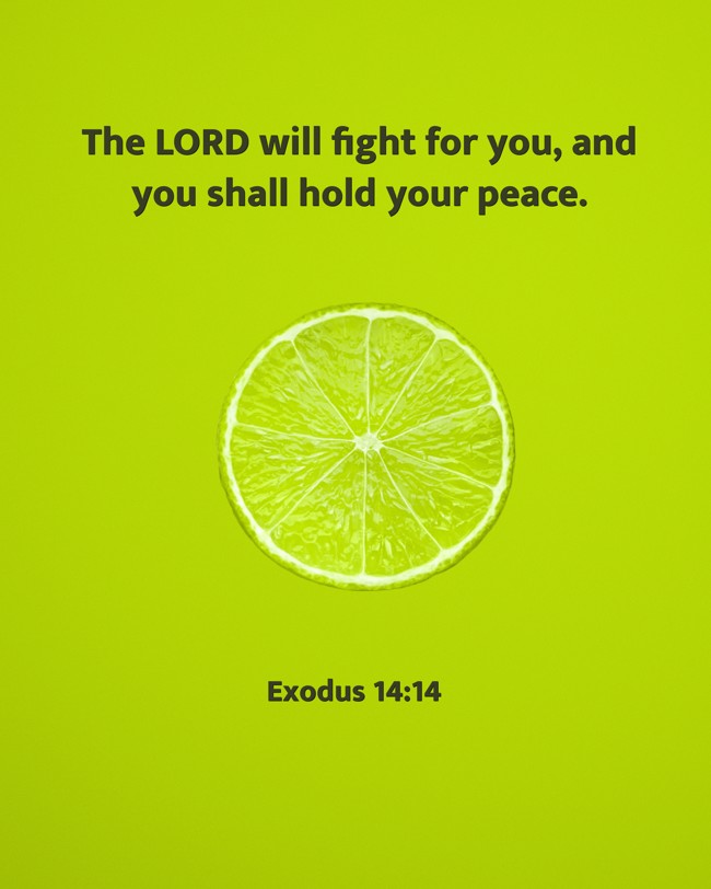 The LORD will fight for you, and you shall hold your peace. - Exodus 14:14