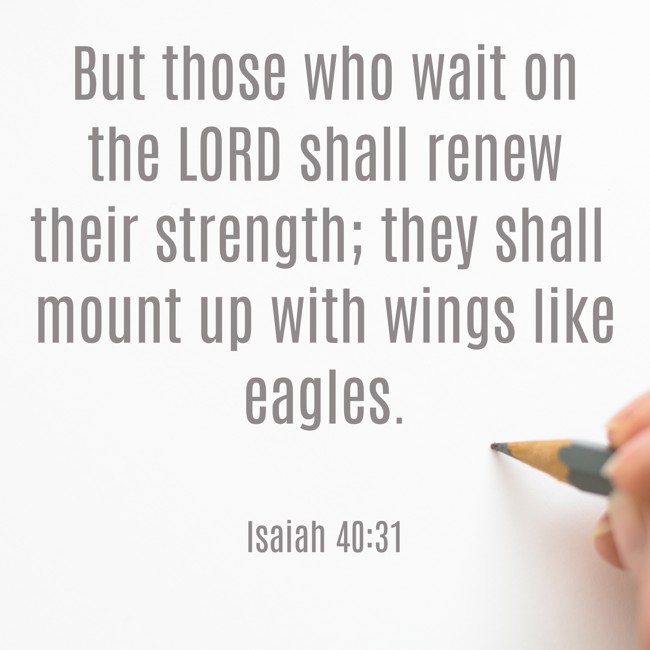 But those who wait on the LORD shall renew their strength; they shall mount up with wings like eagles. - Isaiah 40:31