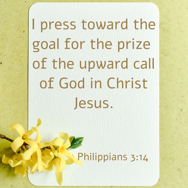 I press toward the goal for the prize of the upward call of God in Christ Jesus. - Philippians 3:14