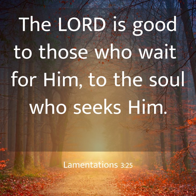 The LORD is good to those who wait for Him, to the soul who seeks Him. - Lamentations 3:25