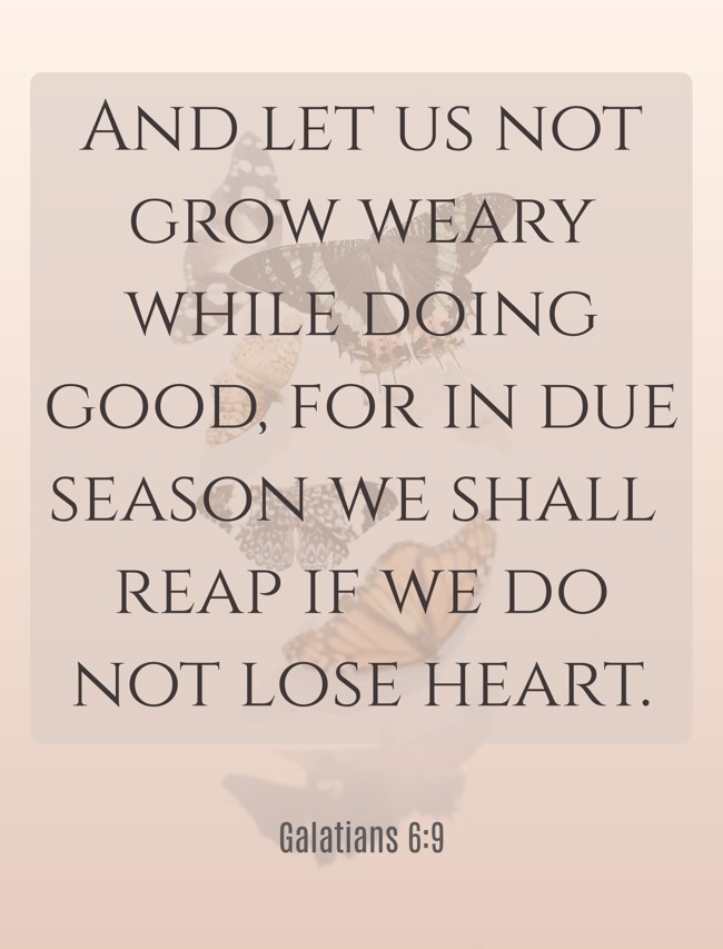 And let us not grow weary while doing good, for in due season we shall reap if we do not lose heart. - Galatians 6:9
