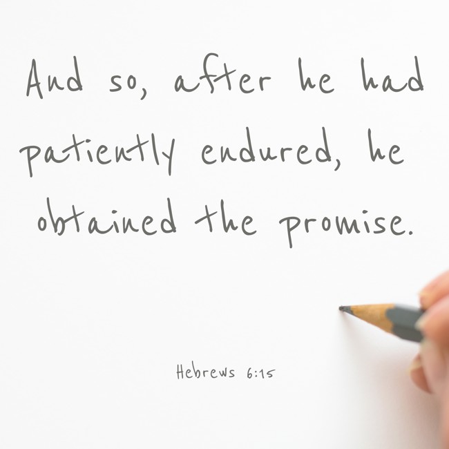 And so, after he had patiently endured, he obtained the promise. - Hebrews 6:15