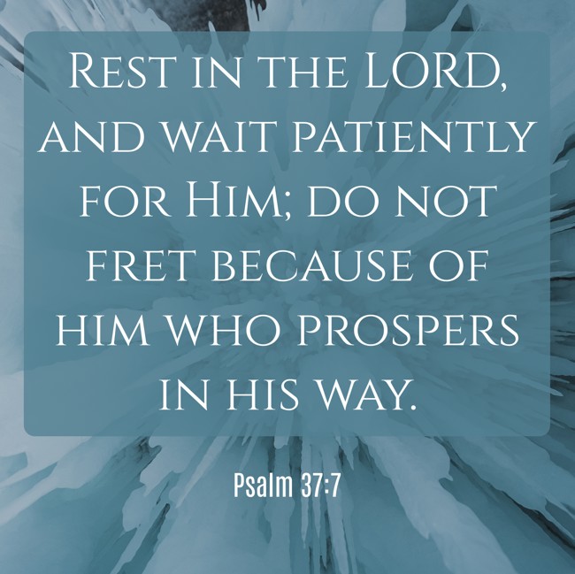 Rest in the LORD, and wait patiently for Him; do not fret because of him who prospers in his way. - Psalm 37:7