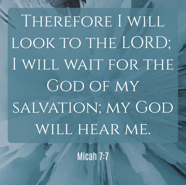 Therefore I will look to the LORD; I will wait for the God of my salvation; my God will hear me. - Micah 7:7