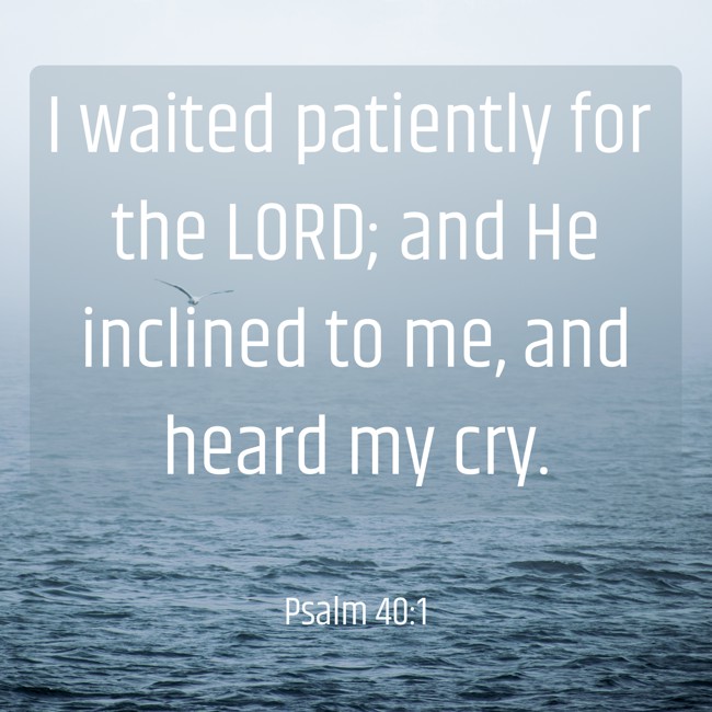 I waited patiently for the LORD; and He inclined to me, and heard my cry. - Psalm 40:1
