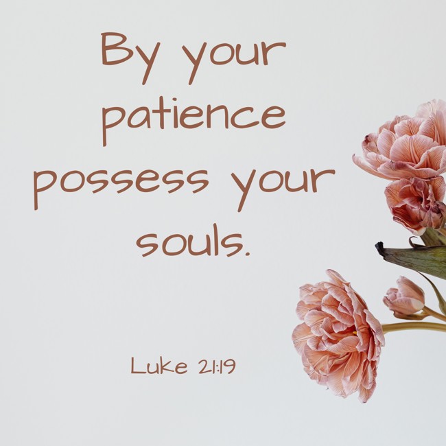 By your patience possess your souls. - Luke 21:19