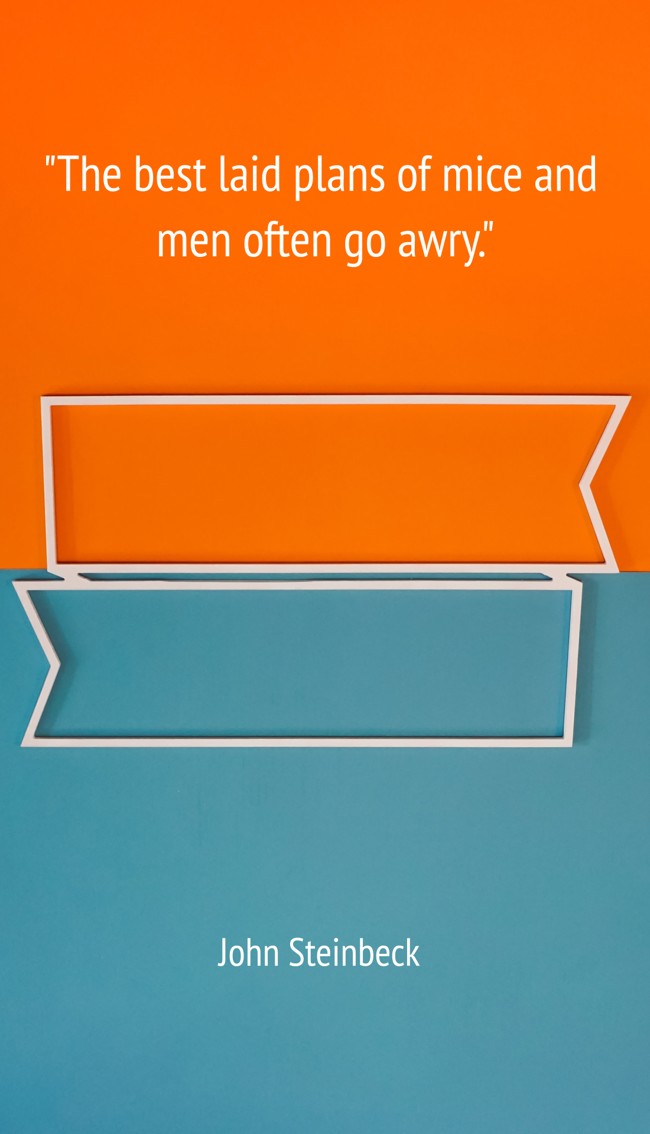 The best laid plans of mice and men often go awry. - John Steinbeck