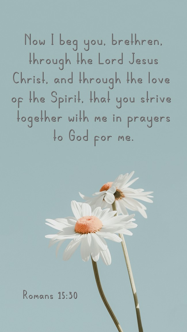 Now I beg you, brethren, through the Lord Jesus Christ, and through the love of the Spirit, that you strive together with me in prayers to God for me. - Romans 15:30