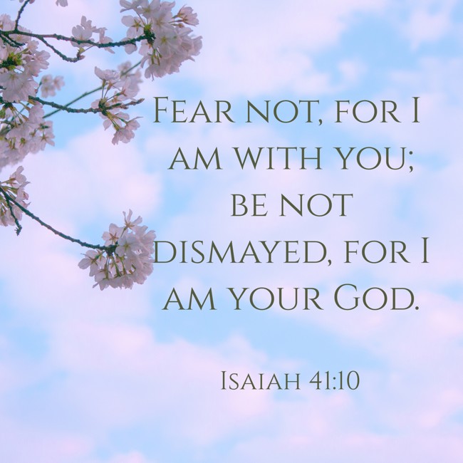 Fear not, for I am with you; be not dismayed, for I am your God. - Isaiah 41:10
