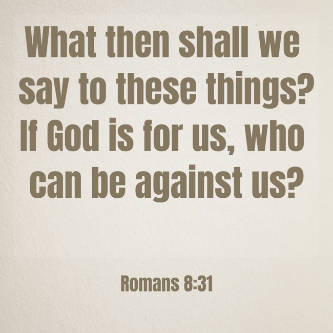 What then shall we say to these things? If God is for us, who can be against us? - Romans 8:31