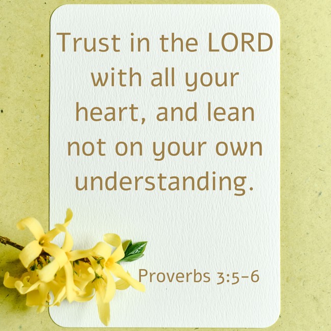 Trust in the LORD with all your heart, and lean not on your own understanding. - Proverbs 3:5-6