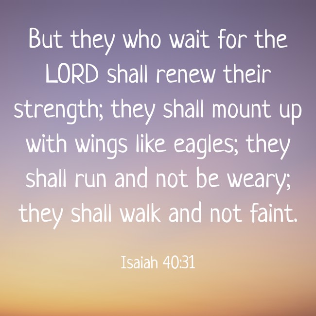 But they who wait for the LORD shall renew their strength; they shall mount up with wings like eagles; they shall run and not be weary; they shall walk and not faint. - Isaiah 40:31