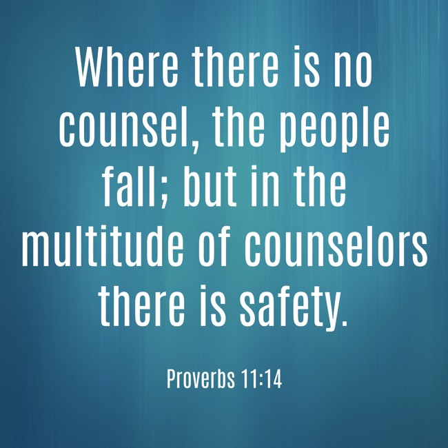 Where there is no counsel, the people fall; but in the multitude of counselors there is safety. - Proverbs 11:14
