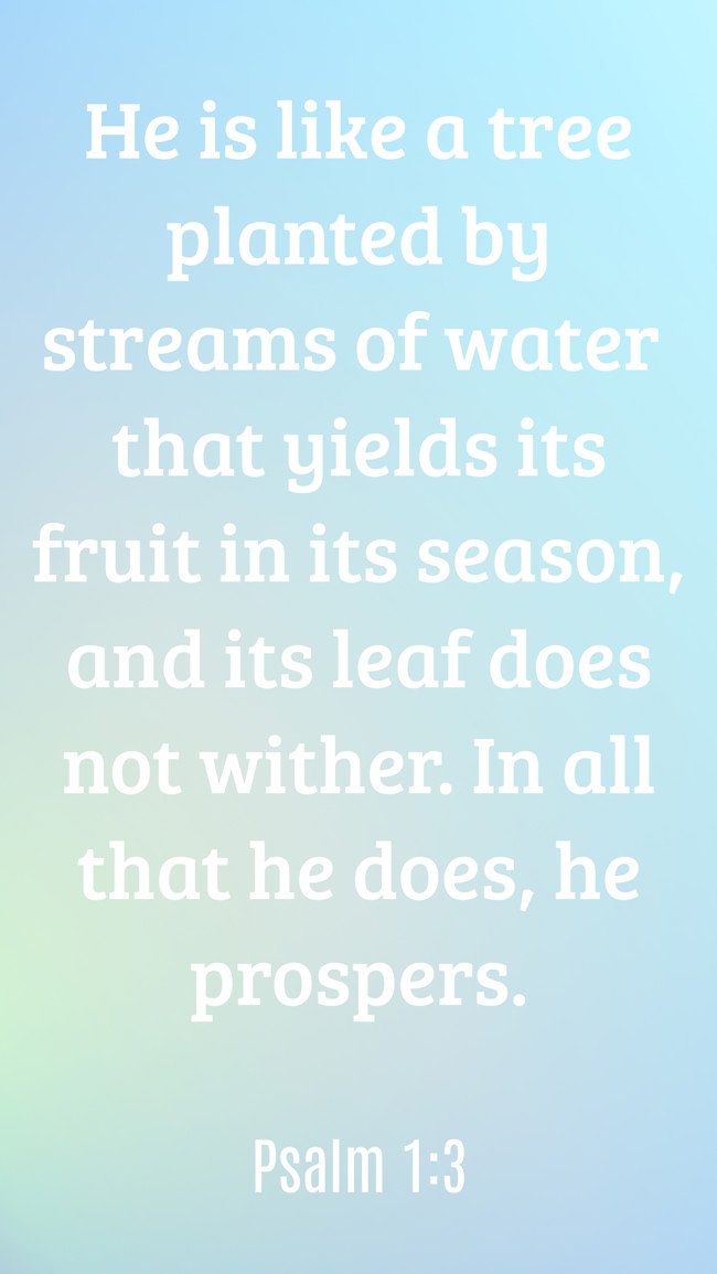 He is like a tree planted by streams of water that yields its fruit in its season, and its leaf does not wither. In all that he does, he prospers. - Psalm 1:3
