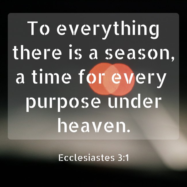 To everything there is a season, a time for every purpose under heaven. - Ecclesiastes 3:1
