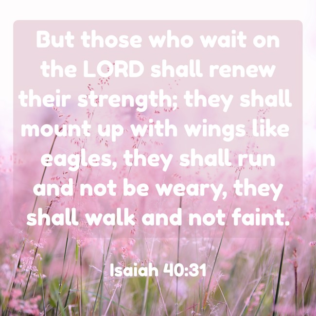 But those who wait on the LORD shall renew their strength; they shall mount up with wings like eagles, they shall run and not be weary, they shall walk and not faint. - Isaiah 40:31