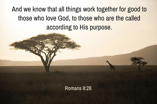 And we know that all things work together for good to those who love God, to those who are the called according to His purpose. - Romans 8:28