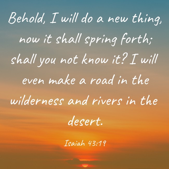 Behold, I will do a new thing, now it shall spring forth; shall you not know it? I will even make a road in the wilderness and rivers in the desert. - Isaiah 43:19