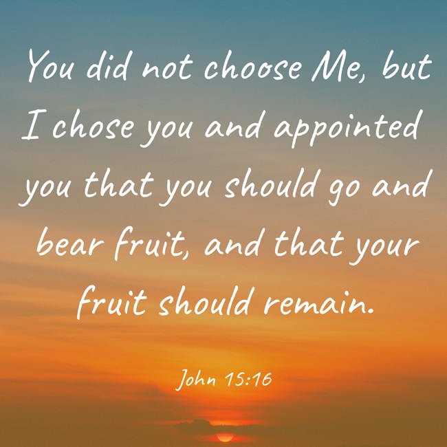 You did not choose Me, but I chose you and appointed you that you should go and bear fruit, and that your fruit should remain. - John 15:16