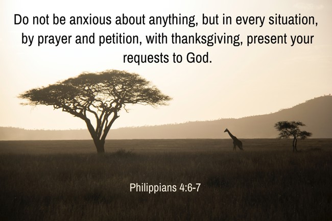 Do not be anxious about anything, but in every situation, by prayer and petition, with thanksgiving, present your requests to God. - Philippians 4:6-7