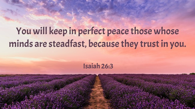 You will keep in perfect peace those whose minds are steadfast, because they trust in you. - Isaiah 26:3