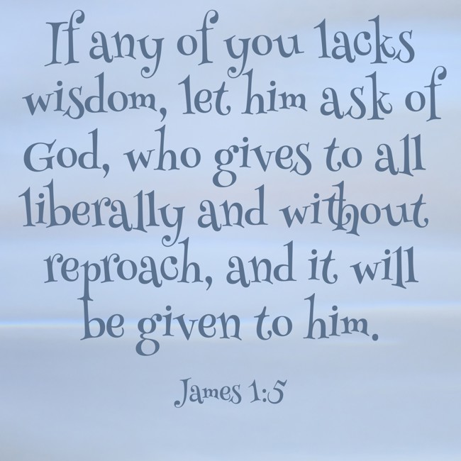 If any of you lacks wisdom, let him ask of God, who gives to all liberally and without reproach, and it will be given to him. - James 1:5