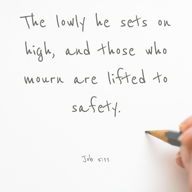 The lowly he sets on high, and those who mourn are lifted to safety. - Job 5:11