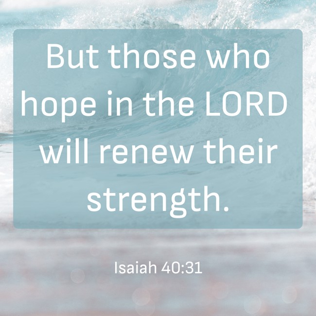But those who hope in the LORD will renew their strength. - Isaiah 40:31