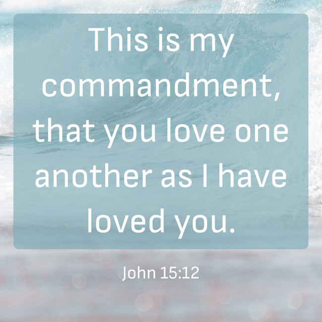 This is my commandment, that you love one another as I have loved you. - John 15:12
