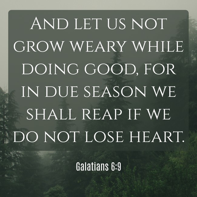 And let us not grow weary while doing good, for in due season we shall reap if we do not lose heart. - Galatians 6:9
