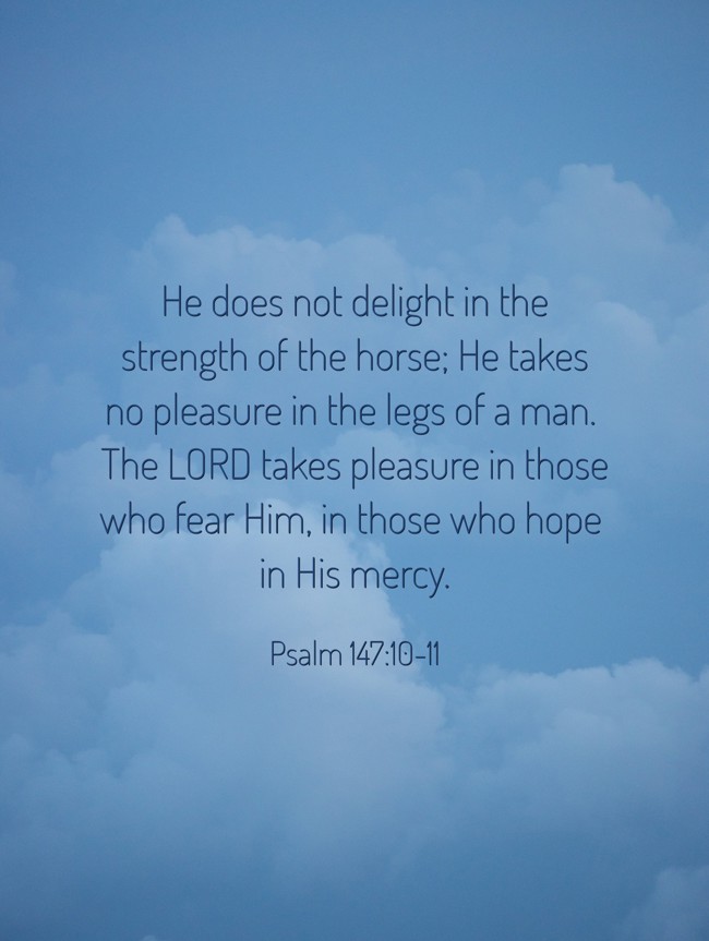 He does not delight in the strength of the horse; He takes no pleasure in the legs of a man. The LORD takes pleasure in those who fear Him, in those who hope in His mercy. - Psalm 147:10-11