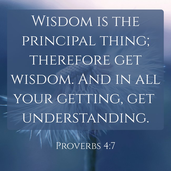 Wisdom is the principal thing; therefore get wisdom. And in all your getting, get understanding. - Proverbs 4:7