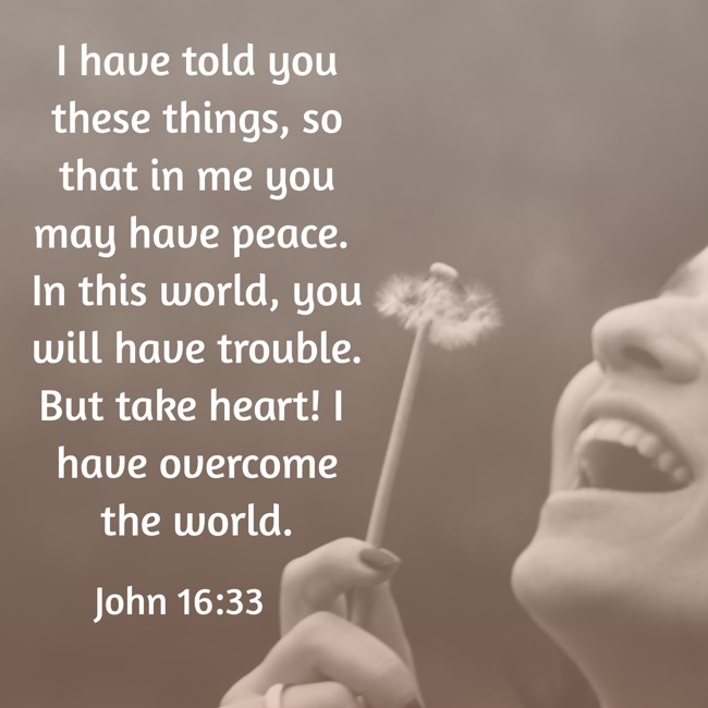 I have told you these things, so that in me you may have peace. In this world, you will have trouble. But take heart! I have overcome the world. - John 16:33