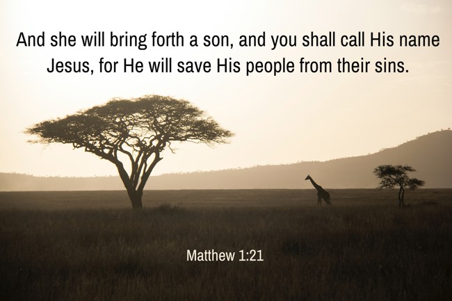 And she will bring forth a son, and you shall call His name Jesus, for He will save His people from their sins. - Matthew 1:21