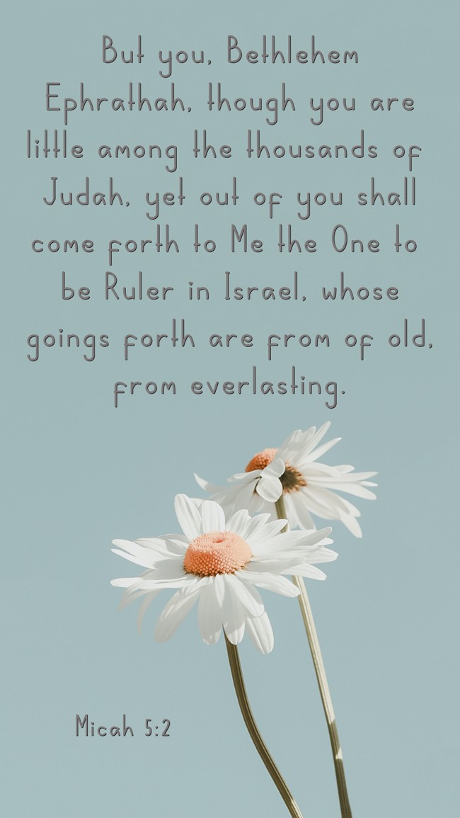 But you, Bethlehem Ephrathah, though you are little among the thousands of Judah, yet out of you shall come forth to Me the One to be Ruler in Israel, whose goings forth are from of old, from everlasting. - Micah 5:2