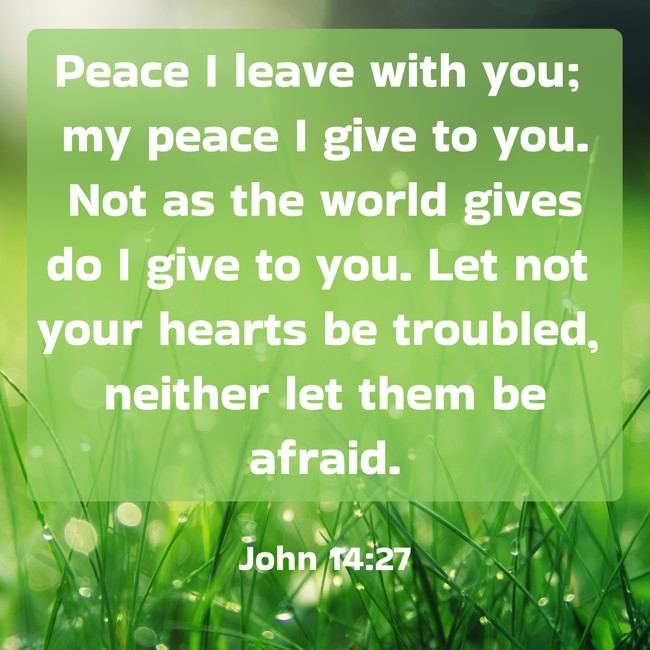 Peace I leave with you; my peace I give to you. Not as the world gives do I give to you. Let not your hearts be troubled, neither let them be afraid. - John 14:27