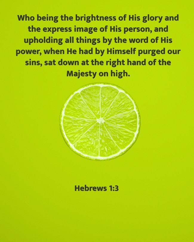 Who being the brightness of His glory and the express image of His person, and upholding all things by the word of His power, when He had by Himself purged our sins, sat down at the right hand of the Majesty on high. - Hebrews 1:3