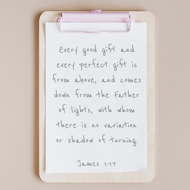Every good gift and every perfect gift is from above, and comes down from the Father of lights, with whom there is no variation or shadow of turning. - James 1:17
