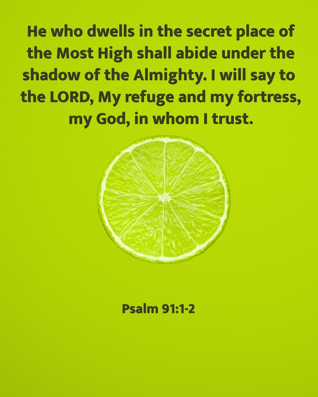 He who dwells in the secret place of the Most High shall abide under the shadow of the Almighty. I will say to the LORD, My refuge and my fortress, my God, in whom I trust. - Psalm 91:1-2