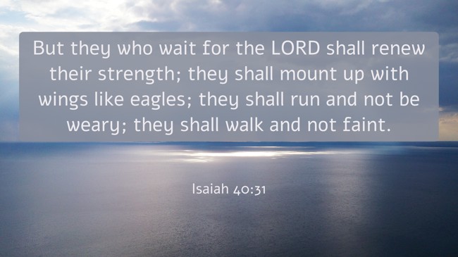 But they who wait for the LORD shall renew their strength; they shall mount up with wings like eagles; they shall run and not be weary; they shall walk and not faint. - Isaiah 40:31
