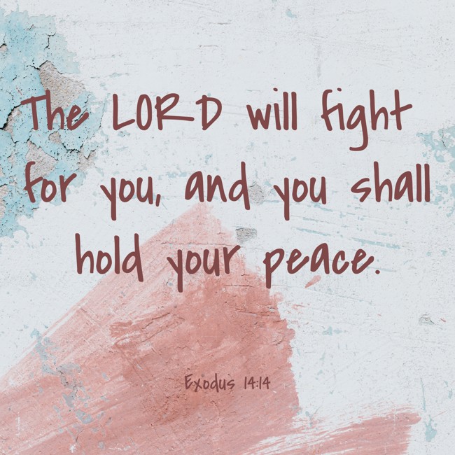 The LORD will fight for you, and you shall hold your peace. - Exodus 14:14