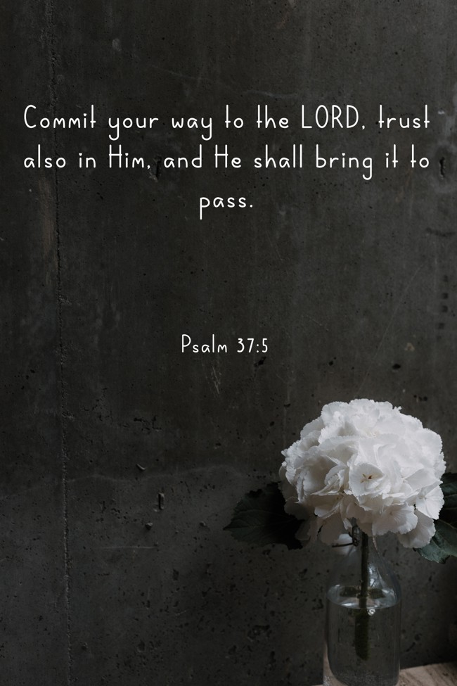 Commit your way to the LORD, trust also in Him, and He shall bring it to pass. - Psalm 37:5