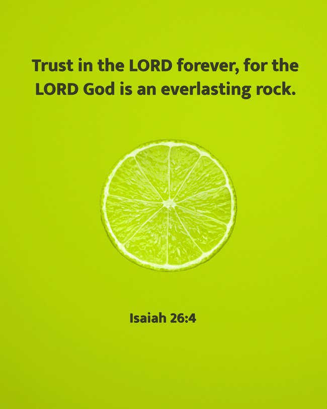 Trust in the LORD forever, for the LORD God is an everlasting rock. - Isaiah 26:4