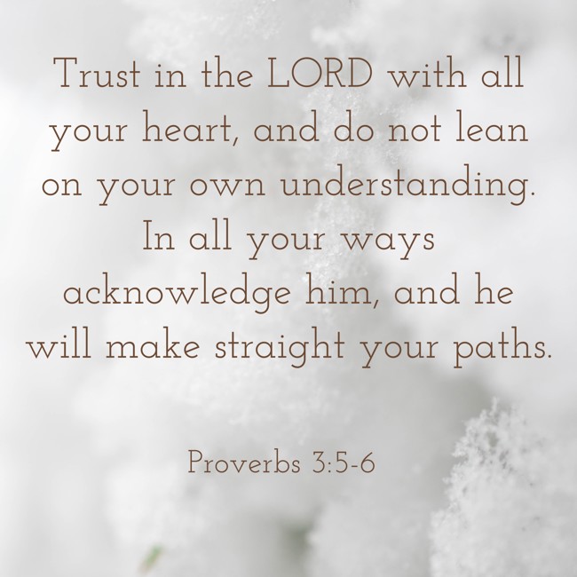 Trust in the LORD with all your heart, and do not lean on your own understanding. In all your ways acknowledge him, and he will make straight your paths. - Proverbs 3:5-6