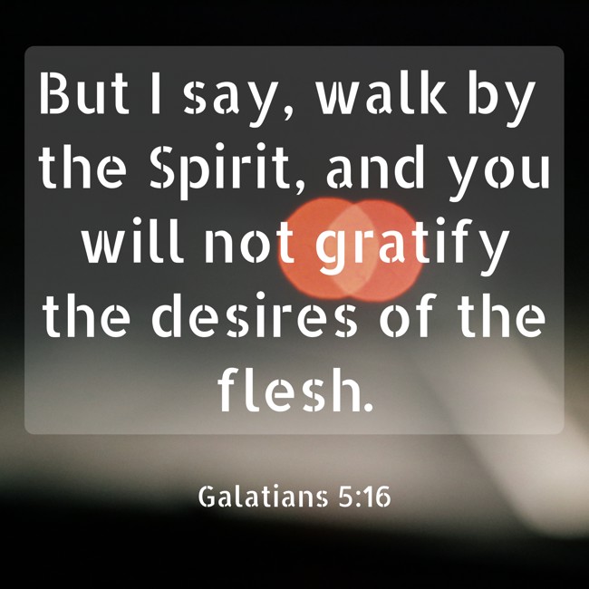 But I say, walk by the Spirit, and you will not gratify the desires of the flesh. - Galatians 5:16